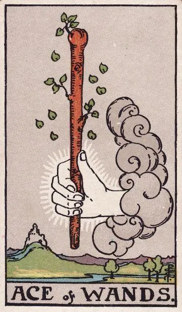Ace of Wands tarot card from the Rider-Waite-Smith deck