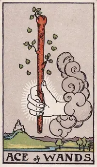 Ace of Wands tarot card