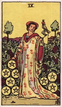Nine of Pentacles tarot card